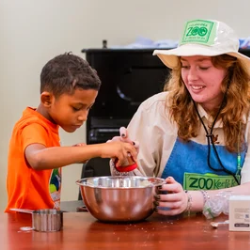 Mad Food Scientists! Jr.